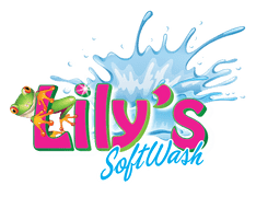 Lily's SoftWash