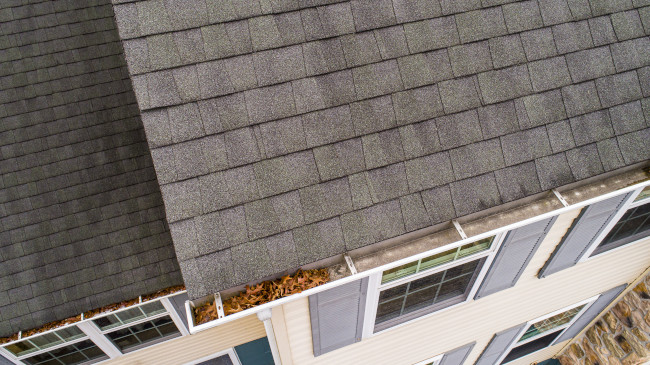 Gutter Cleaning