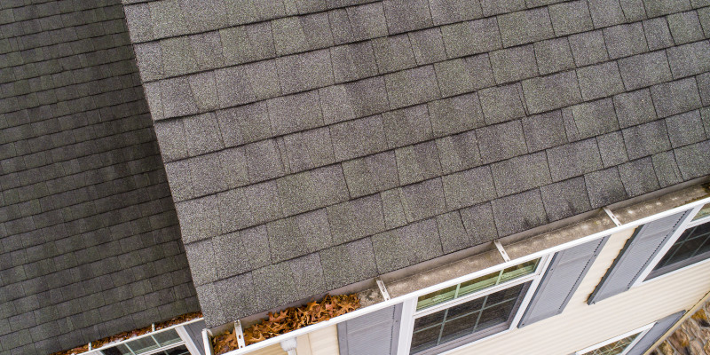 Gutter Cleaning