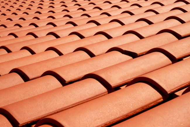 Tile Roof Cleaning
