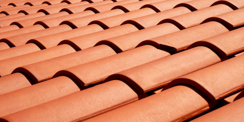 Slate Roof Cleaning