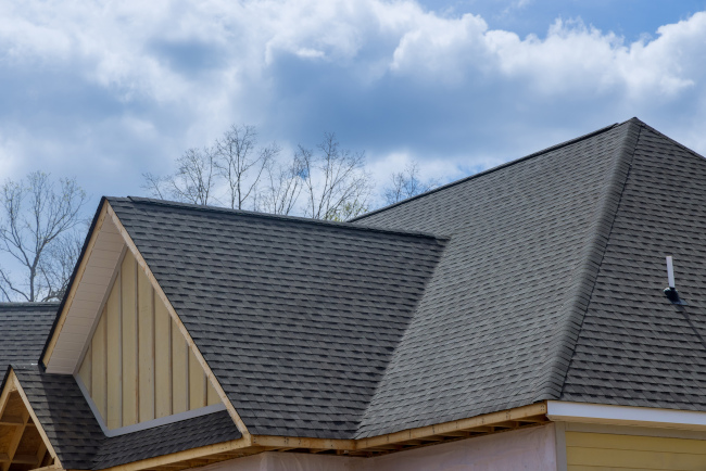 Shingle Roof Cleaning