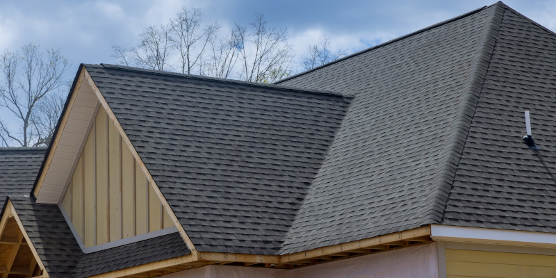 Shingle Roof Cleaning
