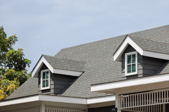 Roof Soft Washing