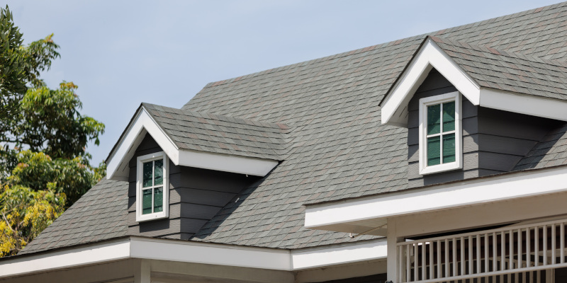 Roof Soft Washing