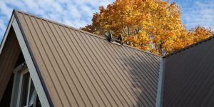 Are Roof Cleaning Services Necessary for Homeowners?