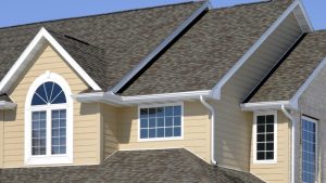 How Siding Cleaning Protects Your Siding from Long-Term Damage