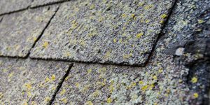 Why Soft Washing Is Best for Shingle Roof Cleaning