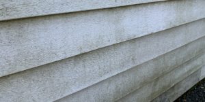 What Contaminants Can Soft Washing Remove?