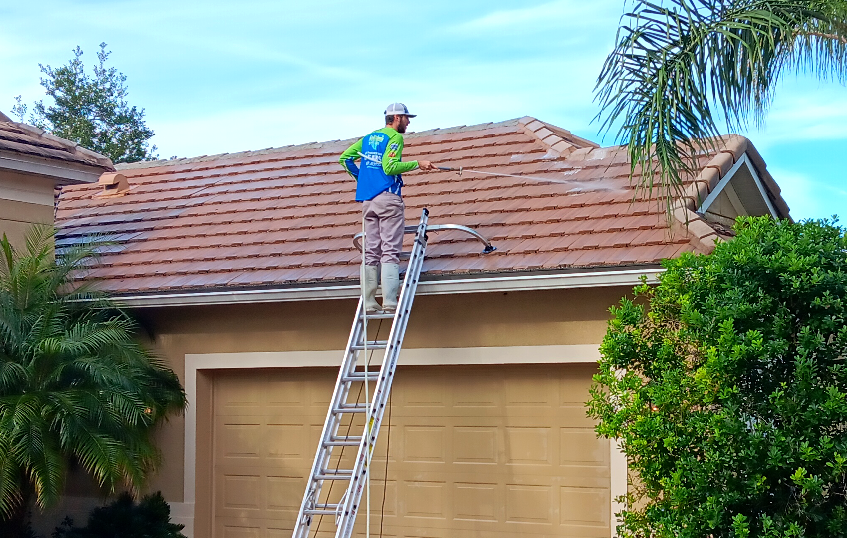 Roof Cleaning