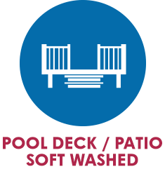 Pool Deck _ Patio Soft Washed