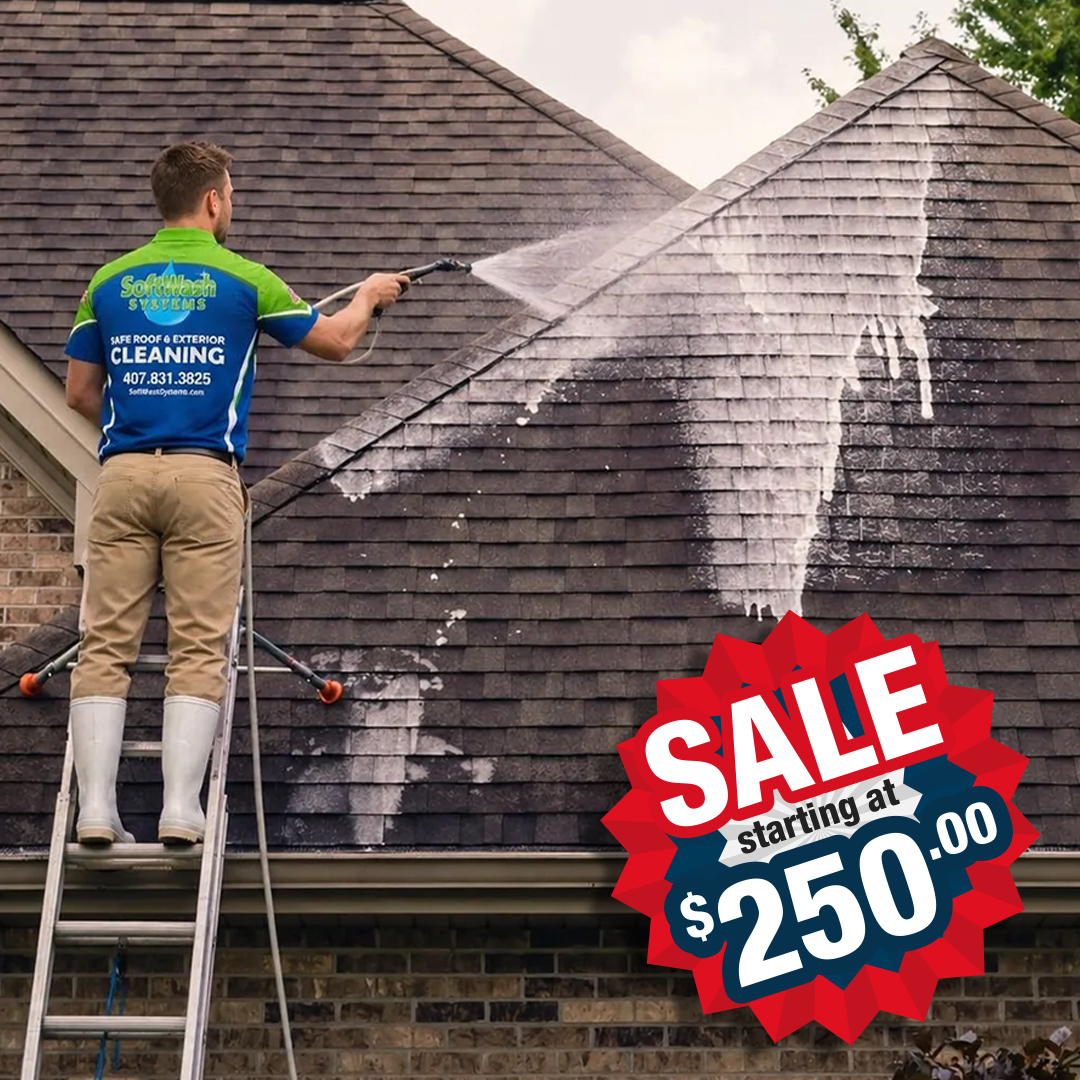 Roof Cleaning