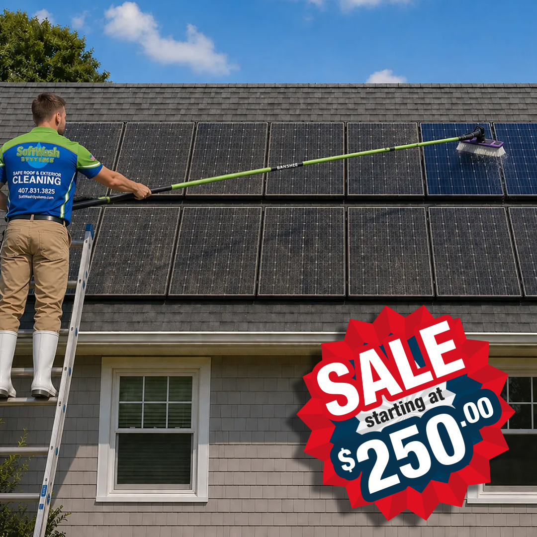 Roof Cleaning