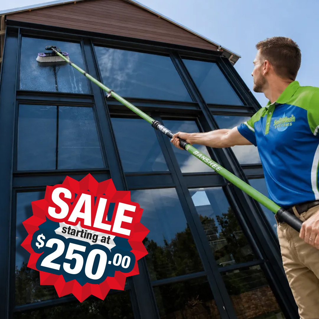 Roof Cleaning