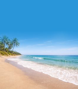 Sunny tropical beach with blue ocean, palm trees, and bright summer sunshine representing hot weather and the summer cleaning season.
