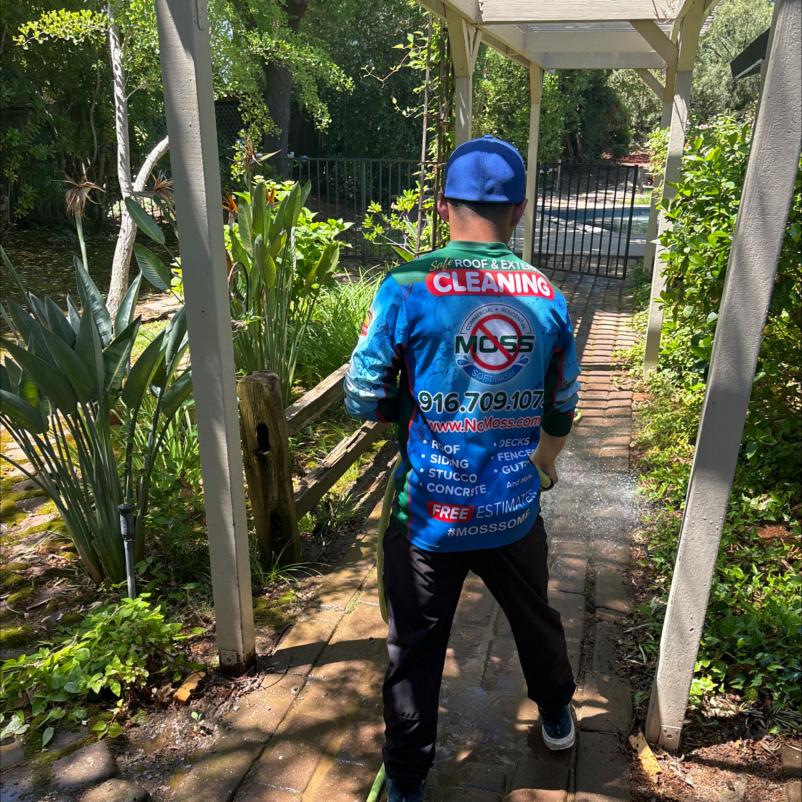 In Action