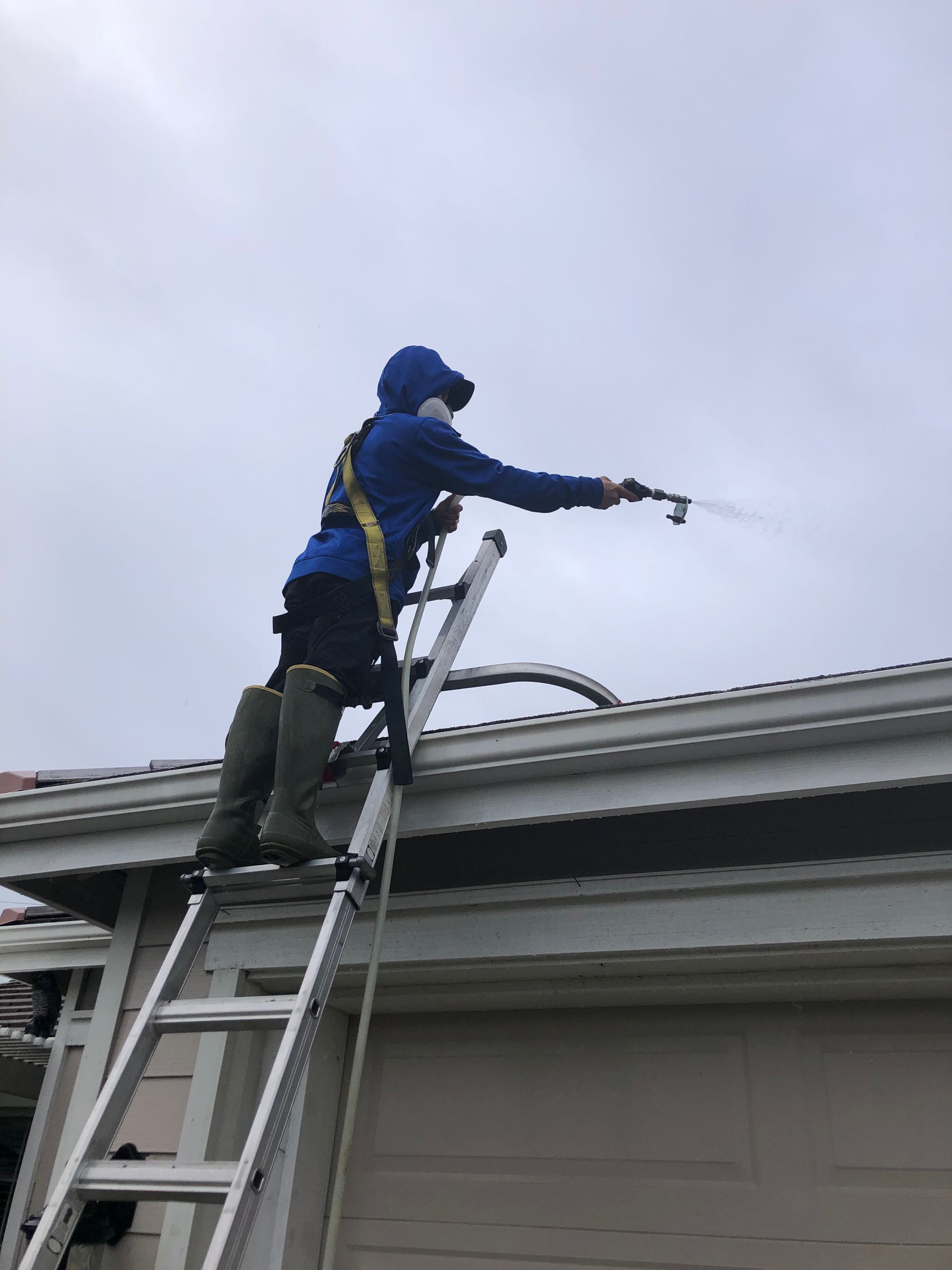 In Action